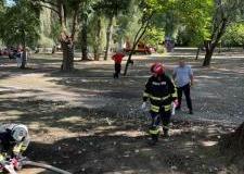 img_0831_w1.m