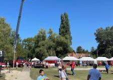 img_0868_w1.m