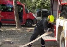 img_0876_w1.m