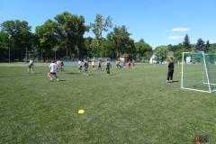 profi_kupa_2017_w2.1