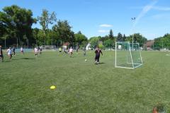 profi_kupa_2017_w2.2