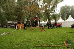 igp7534_w2