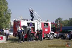 igp3904__w2