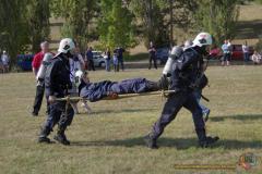 igp3929__w2
