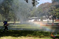 dsc5296s_w2.s