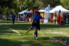 dsc5337_w2.s